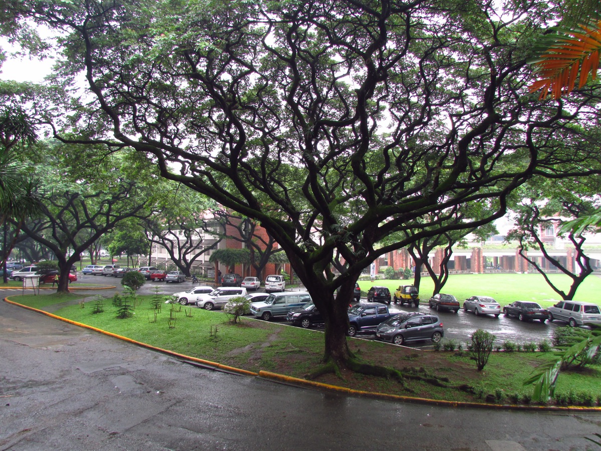 SEC-B photo